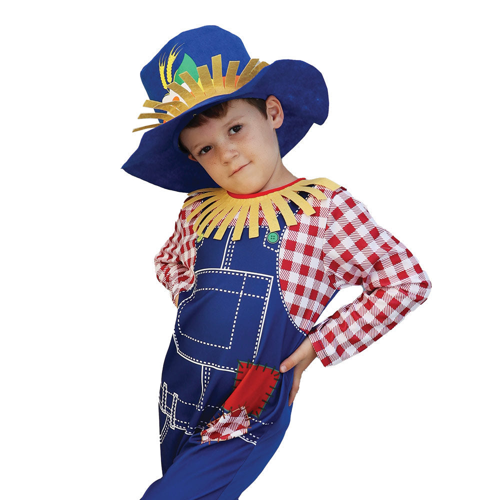 Mad Toys Scarecrow Boy Book Week and World Book Day Roleplay Halloween  Child Costumes