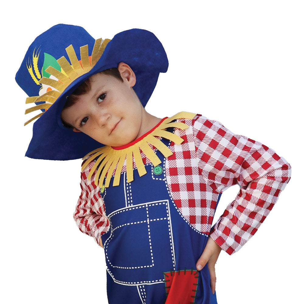 Mad Toys Scarecrow Boy Book Week and World Book Day Roleplay Halloween  Child Costumes