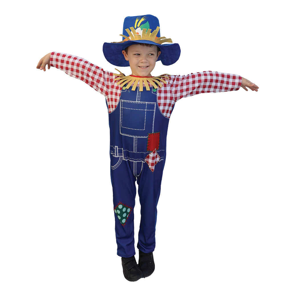 Mad Toys Scarecrow Boy Book Week and World Book Day Roleplay Halloween  Child Costumes