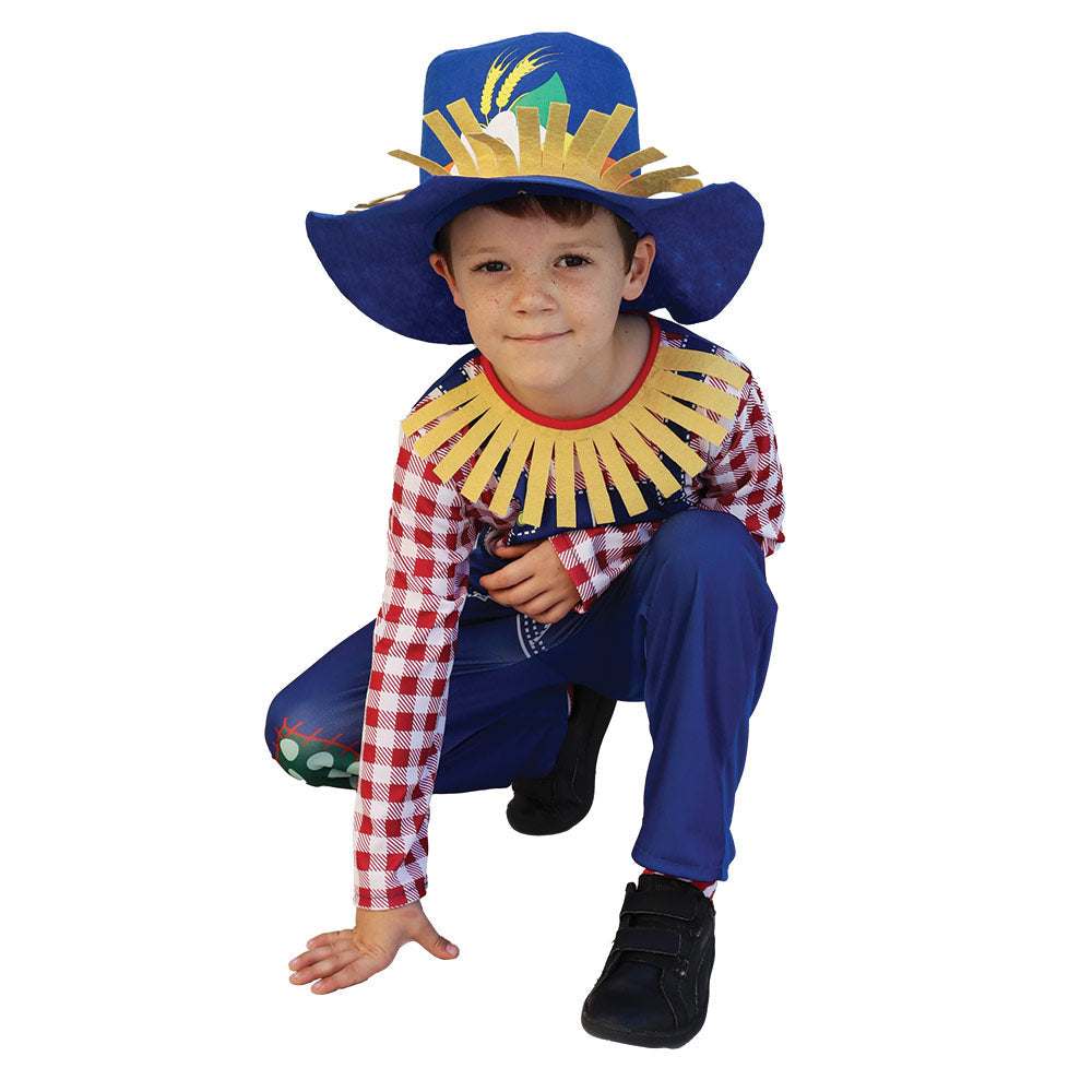 Mad Toys Scarecrow Boy Book Week and World Book Day Roleplay Halloween  Child Costumes