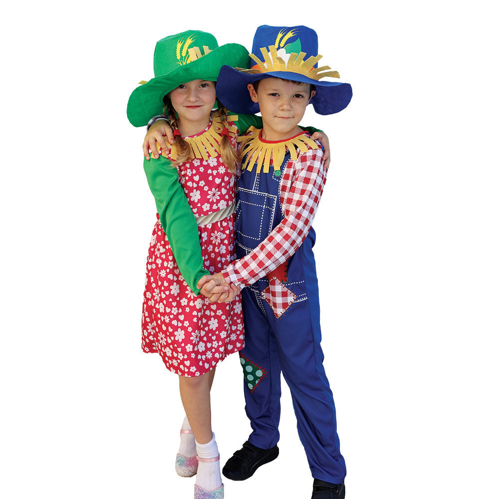 Mad Toys Scarecrow Boy Book Week and World Book Day Roleplay Halloween  Child Costumes
