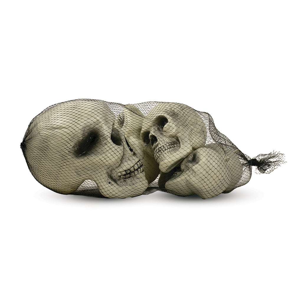 Mad Toys Creepy 6-Pieces Assorted Skulls Halloween Decoration