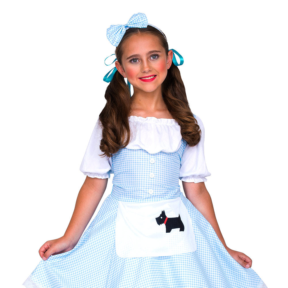 Mad Toys Storybook Dorothy Book Week and World Book Day Halloween Costumes